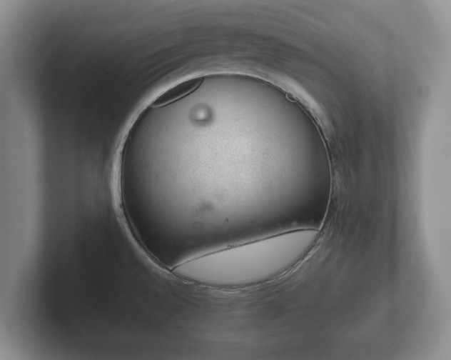 X0000102381528200808081127