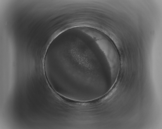 X0000102381529200808081127