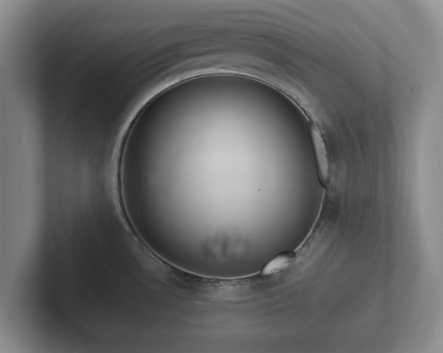 X0000102381530200808081127