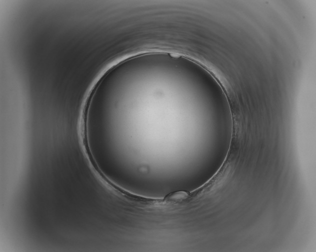 X0000102381531200808081127