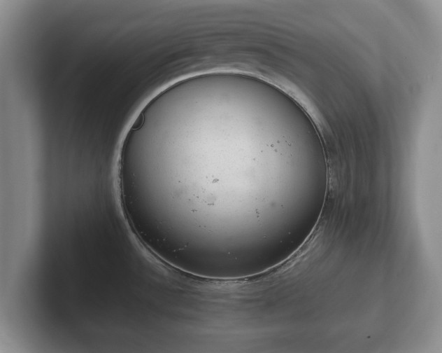 X0000102381532200808081127