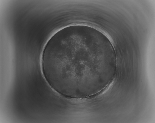 X0000102381533200808081127