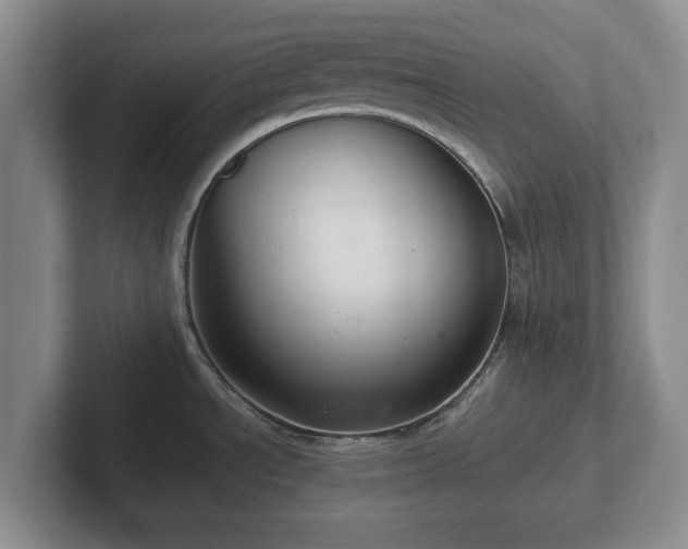 X0000102381534200808081127