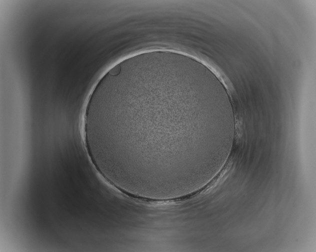 X0000102381535200808081127