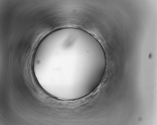 X0000102380001200808151908