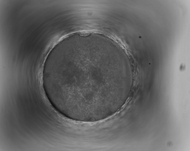 X0000102380002200808151908