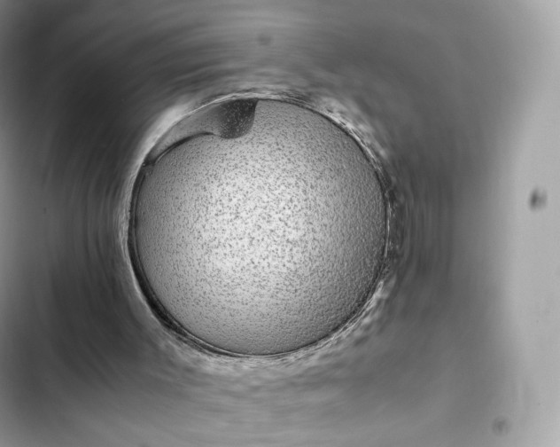 X0000102380003200808151908