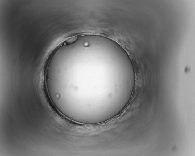 X0000102380005200808151908