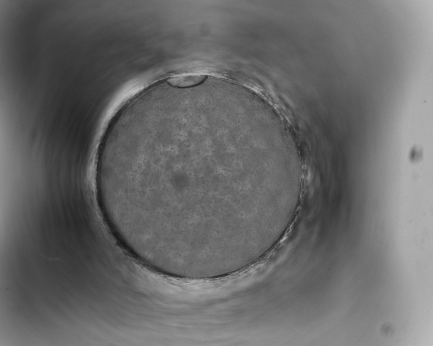 X0000102380006200808151908