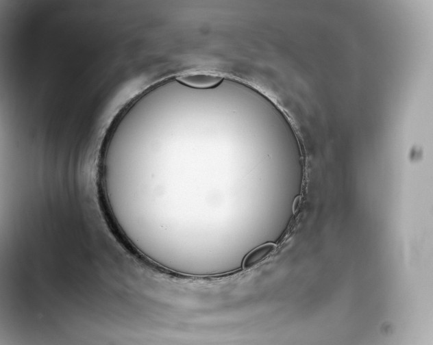 X0000102380007200808151908