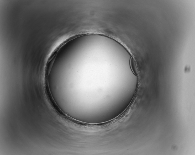 X0000102380008200808151908