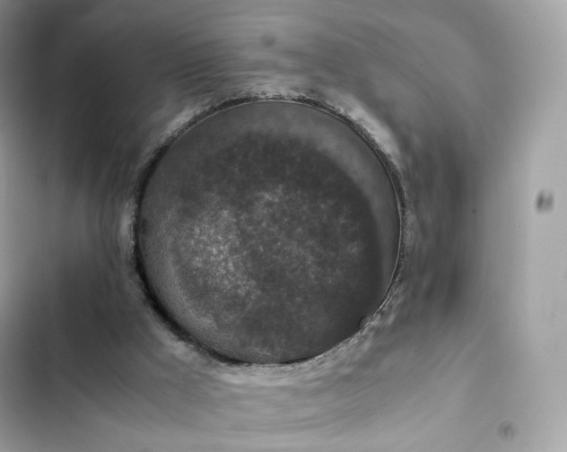 X0000102380009200808151908