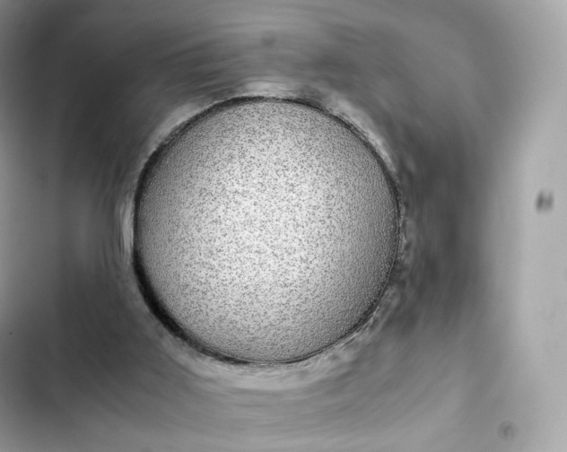 X0000102380011200808151907