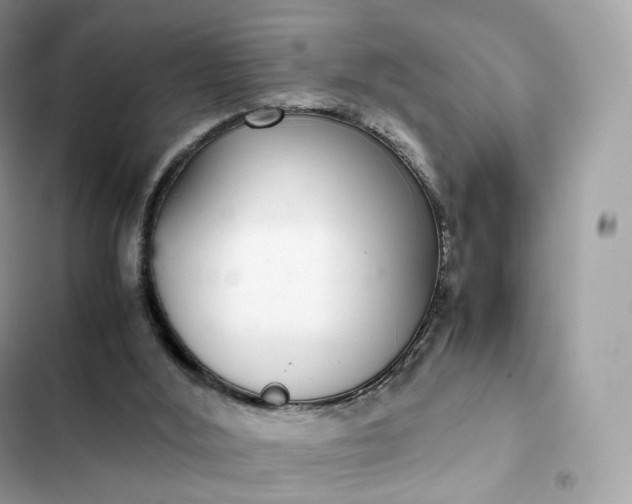 X0000102380012200808151907