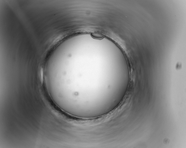 X0000102380013200808151907