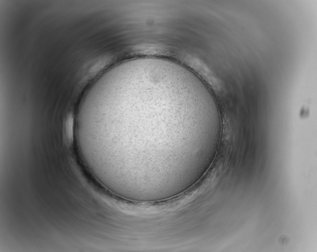 X0000102380014200808151907