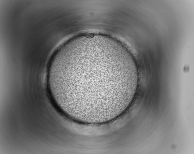 X0000102380016200808151907