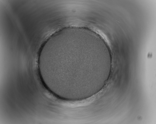 X0000102380017200808151907