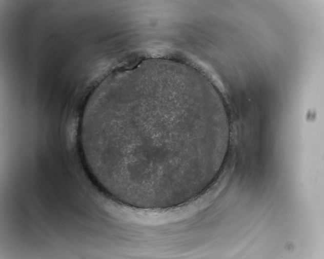 X0000102380018200808151907