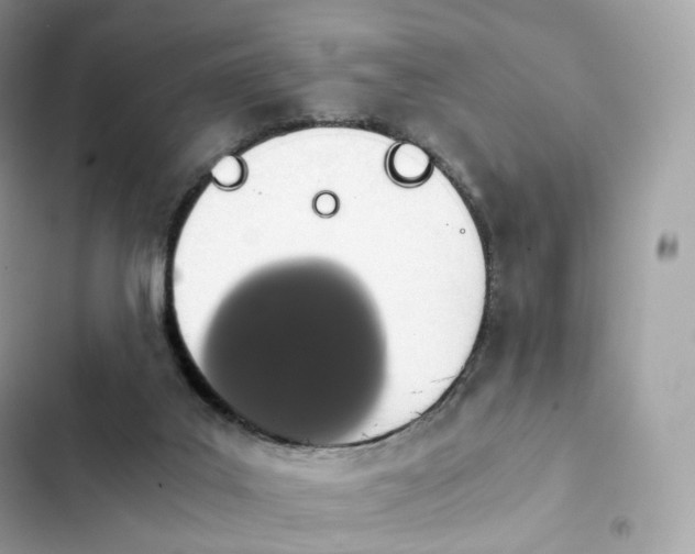 X0000102380019200808151907