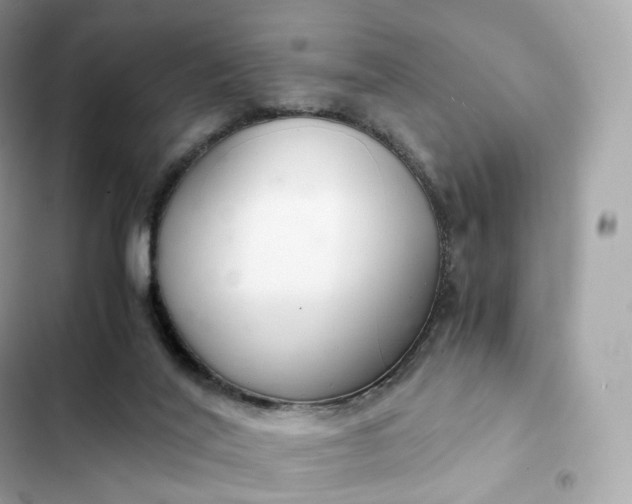 X0000102380020200808151907