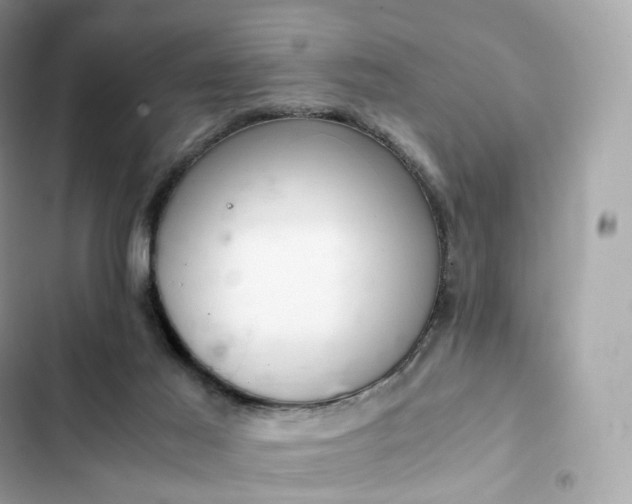 X0000102380021200808151907