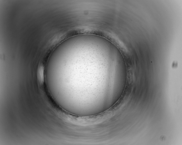 X0000102380022200808151907