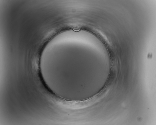 X0000102380023200808151907