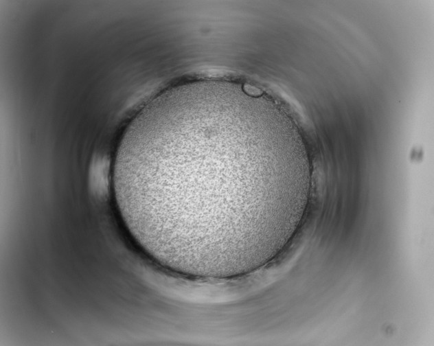 X0000102380024200808151907