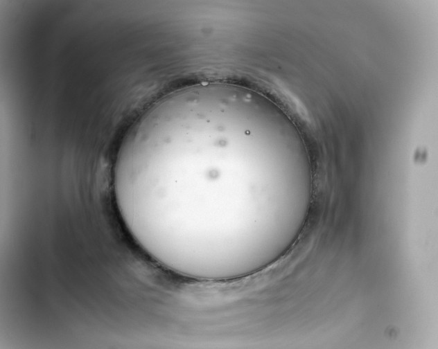 X0000102380025200808151907