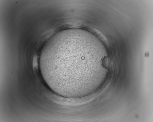 X0000102380026200808151907