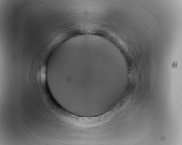 X0000102380027200808151907