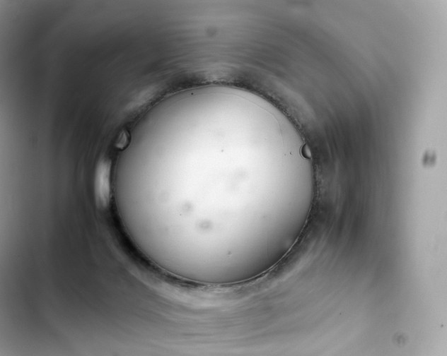 X0000102380028200808151907