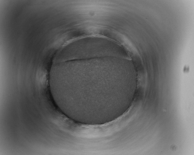 X0000102380029200808151907