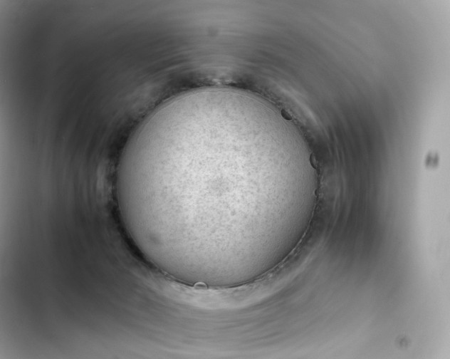 X0000102380030200808151907