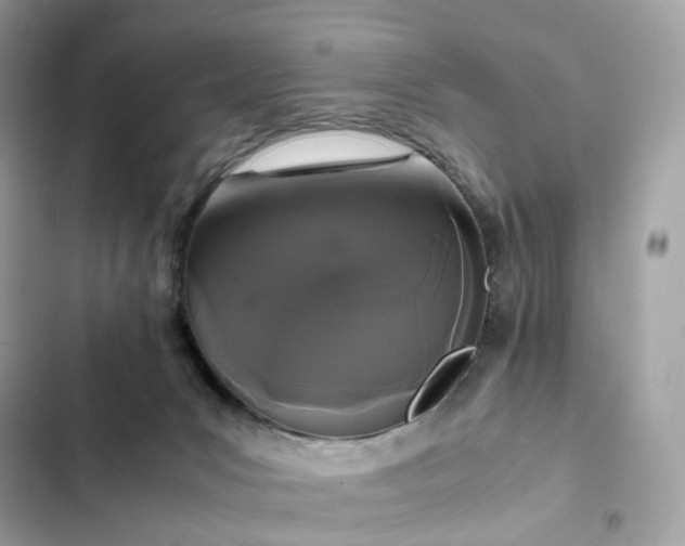 X0000102380031200808151907