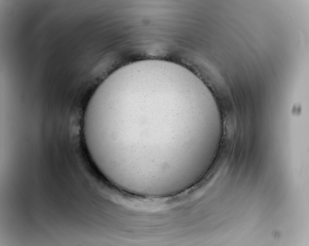 X0000102380032200808151907