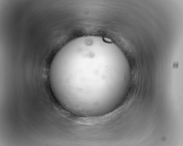 X0000102380033200808151907