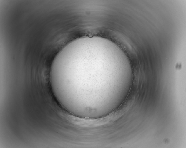 X0000102380034200808151907