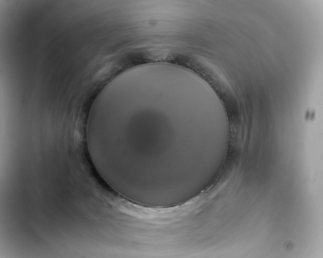 X0000102380035200808151907