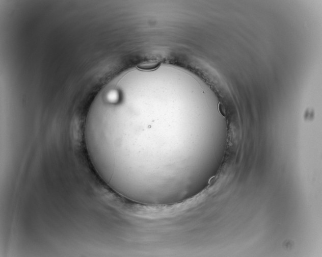 X0000102380037200808151907