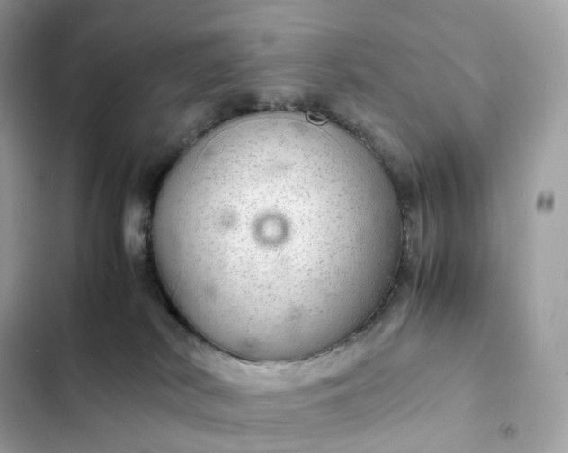 X0000102380038200808151907