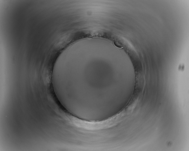 X0000102380039200808151907