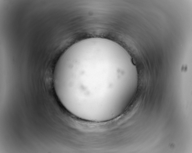 X0000102380040200808151907