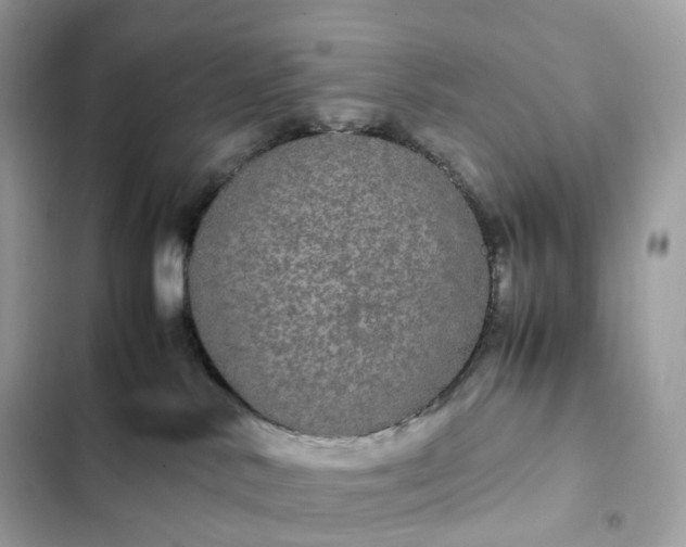 X0000102380042200808151907