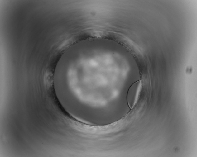 X0000102380043200808151907