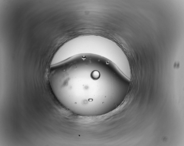 X0000102380045200808151907