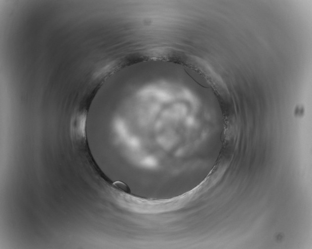 X0000102380047200808151907