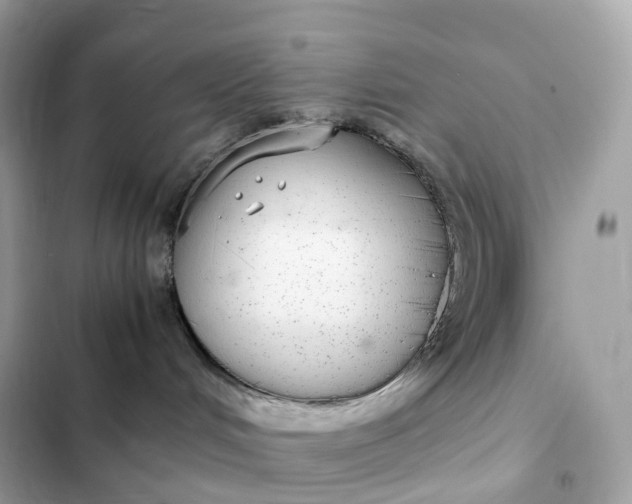 X0000102380048200808151907