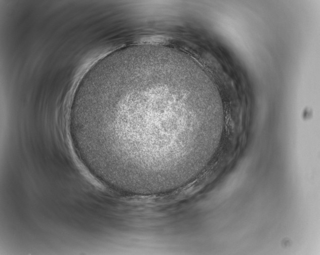 X0000102380049200808151906